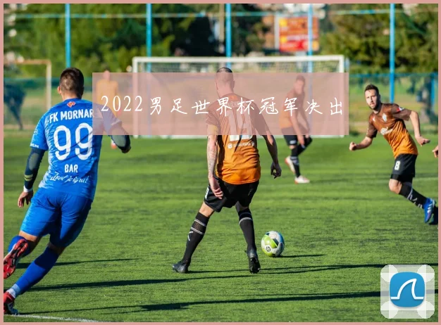 2022男足世界杯冠军决出