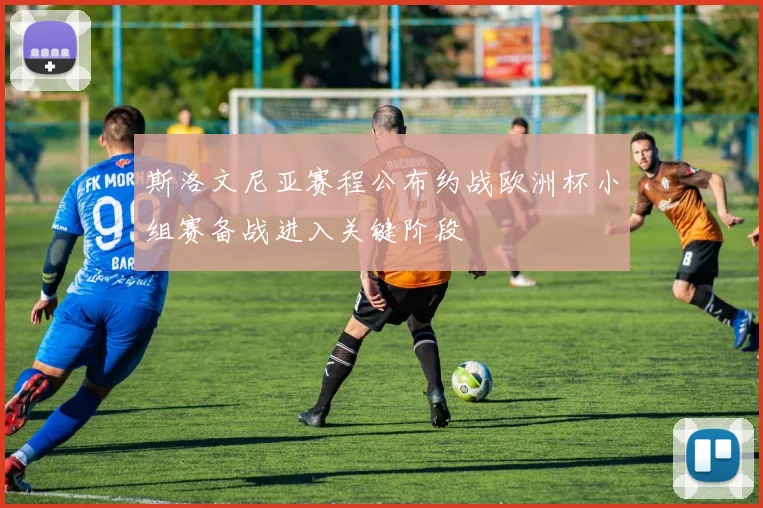 斯洛文尼亚赛程公布约战欧洲杯小组赛备战进入关键阶段