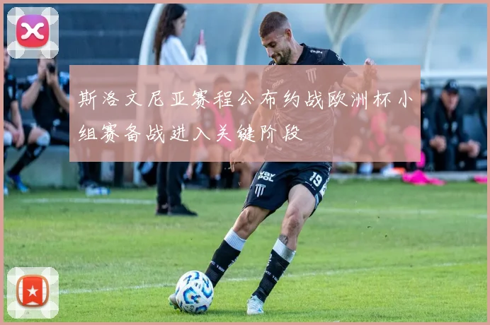 斯洛文尼亚赛程公布约战欧洲杯小组赛备战进入关键阶段